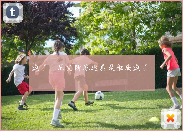 疯了！尼克斯球迷真是彻底疯了！