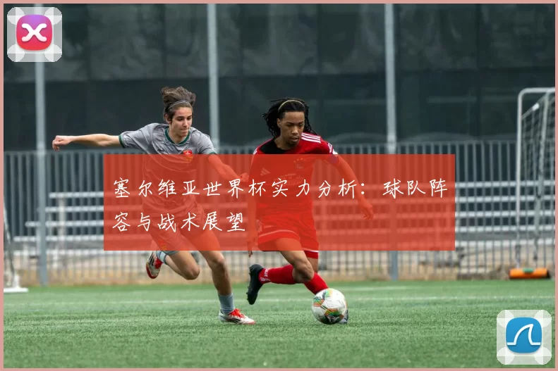 塞尔维亚世界杯实力分析:球队阵容与战术展望