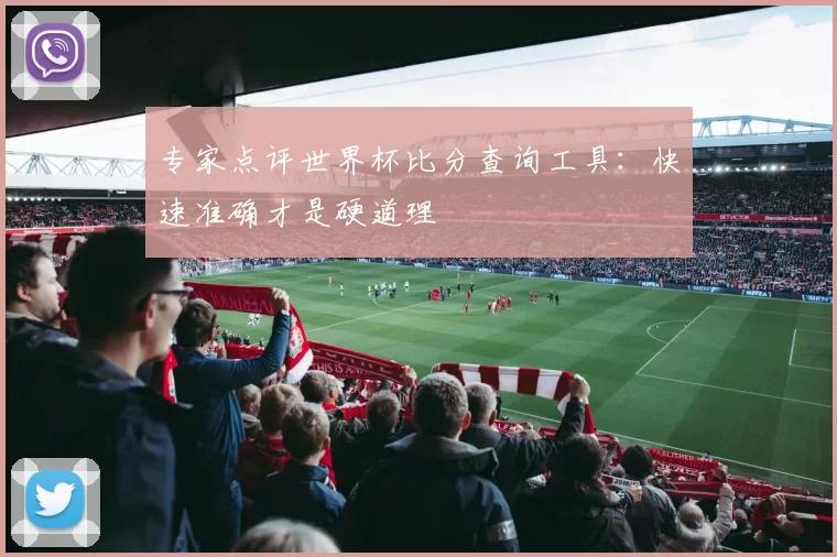 专家点评世界杯比分查询工具:快速准确才是硬道理