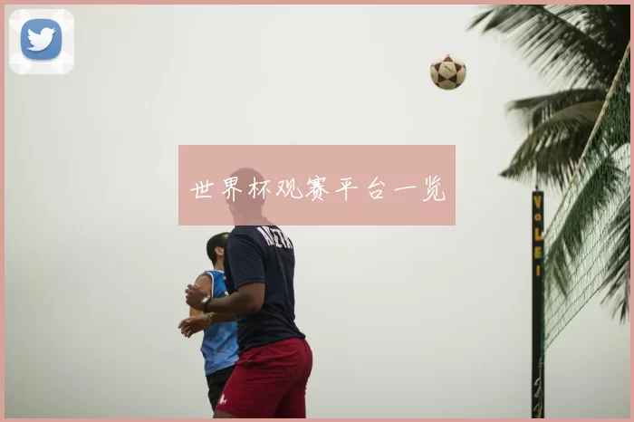 世界杯观赛平台一览