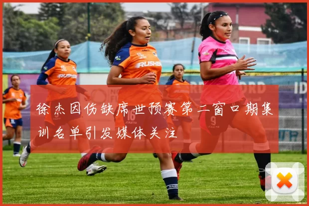 徐杰因伤缺席世预赛第二窗口期集训名单引发媒体关注