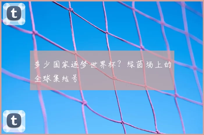 多少国家逐梦世界杯？绿茵场上的全球集结号