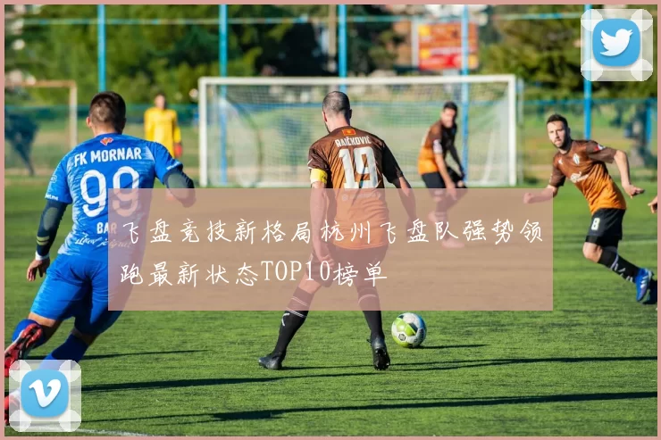 飞盘竞技新格局杭州飞盘队强势领跑最新状态TOP10榜单