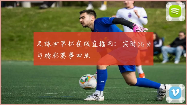 足球世界杯在线直播网:实时比分与精彩赛事回放