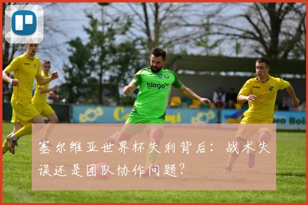 塞尔维亚世界杯失利背后:战术失误还是团队协作问题?