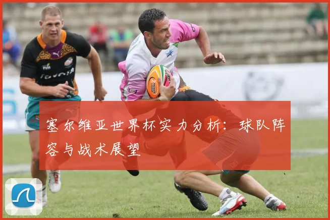 塞尔维亚世界杯实力分析:球队阵容与战术展望